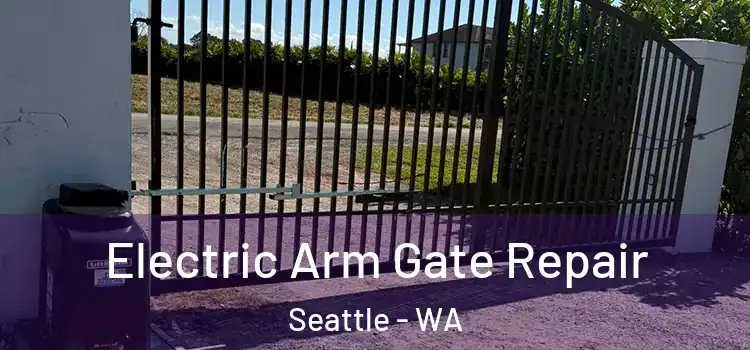 Electric Arm Gate Repair Seattle - WA