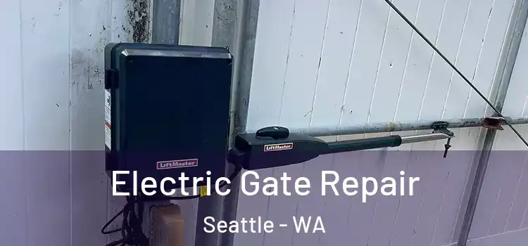 Electric Gate Repair Seattle - WA