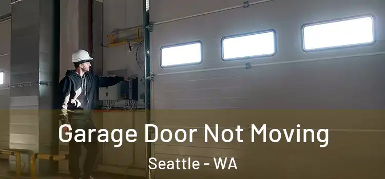  Garage Door Not Moving Seattle - WA