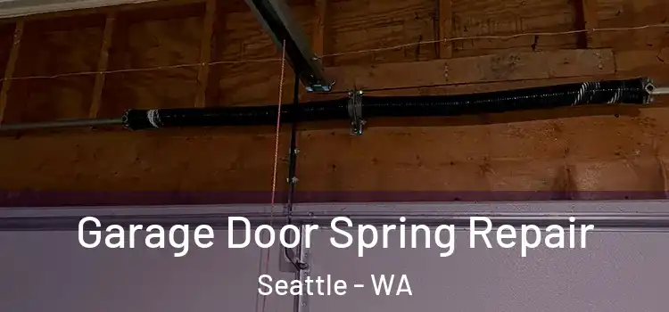  Garage Door Spring Repair Seattle - WA