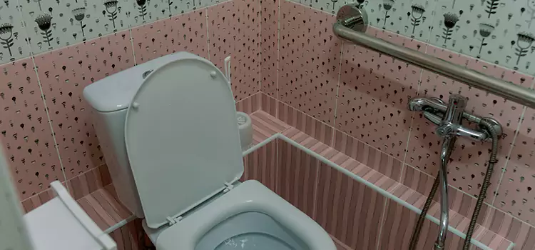 Meeting Diverse Needs With Accessible Restroom Solutions in Seattle, WA