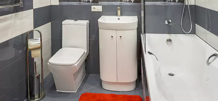 Hansgrohe Shaving Mirror Seattle