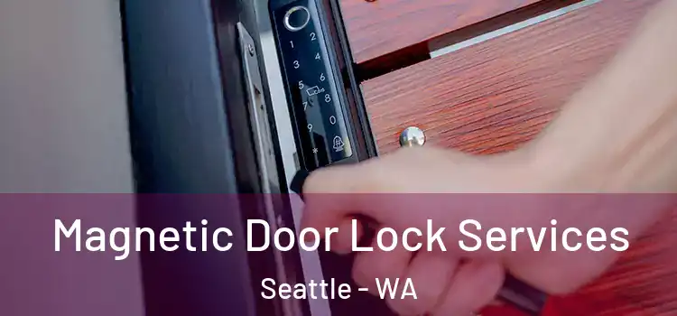 Magnetic Door Lock Services Seattle - WA